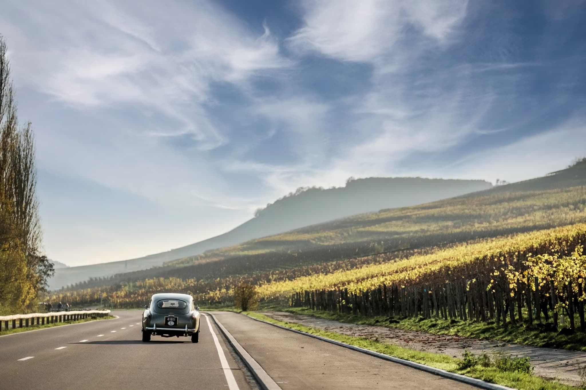 Moselle Valley